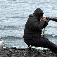 موسيقى مسلسل مأمون وشركاه - عادل حقى . By Music4All Clip