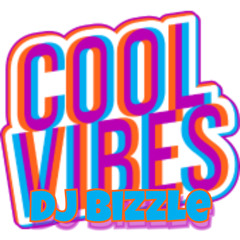 Dj Bizzle Cool Vibes Riddim