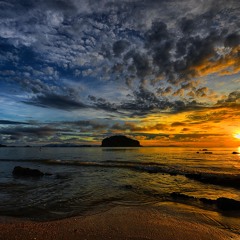 Miscellaneous - Loop