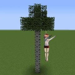Minecraft Panic
