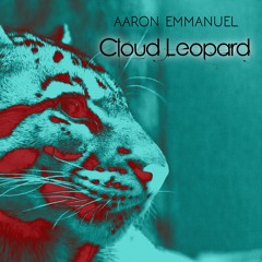 Cloud Leopard