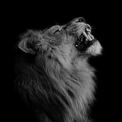 Nimatekk - Dark Lion / Darktechno Set