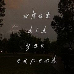 what did you expect