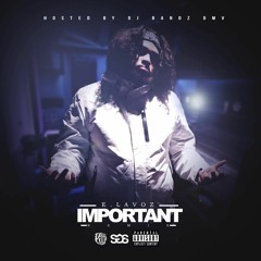 Important(MoneyBaggYo Remix) | E.Lavoz Hosted by @DJBandzDMV