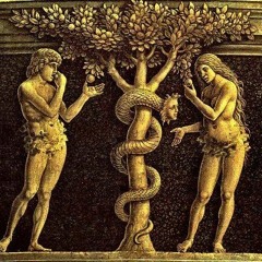 Our Right, My Wrongs