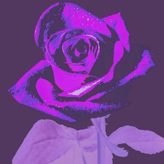 Like a Rose (Prod.Isaac Tumadre)