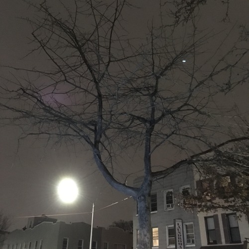 Moonlight Sonata Freestyle *EGO DEATH REC* - PUBLISHRRR