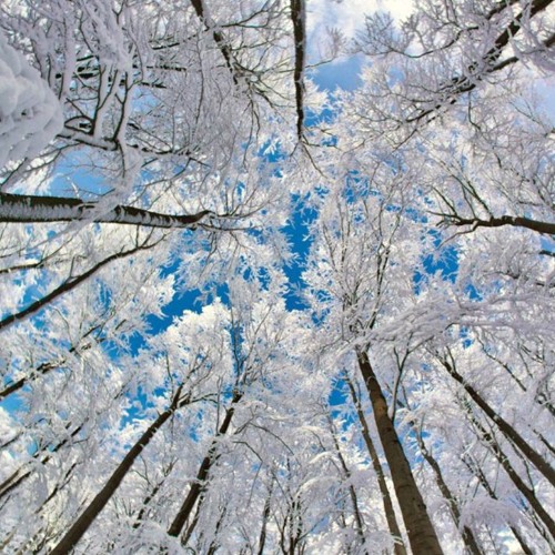 Week 4 of dec.2017--Week 1 of feb.2018_PART02(048-126/879)＿Recommend Set (Various artists)