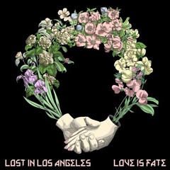 Lost In Los Angeles — The Dime