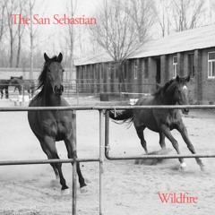 The San Sebastian "Wildfire"