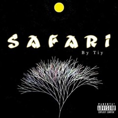 Tiy x Safari