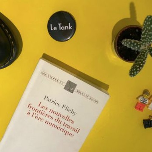 ASDN #21 - Patrice Flichy pour "Les nouvelles frontières du travail à l'ère numérique"