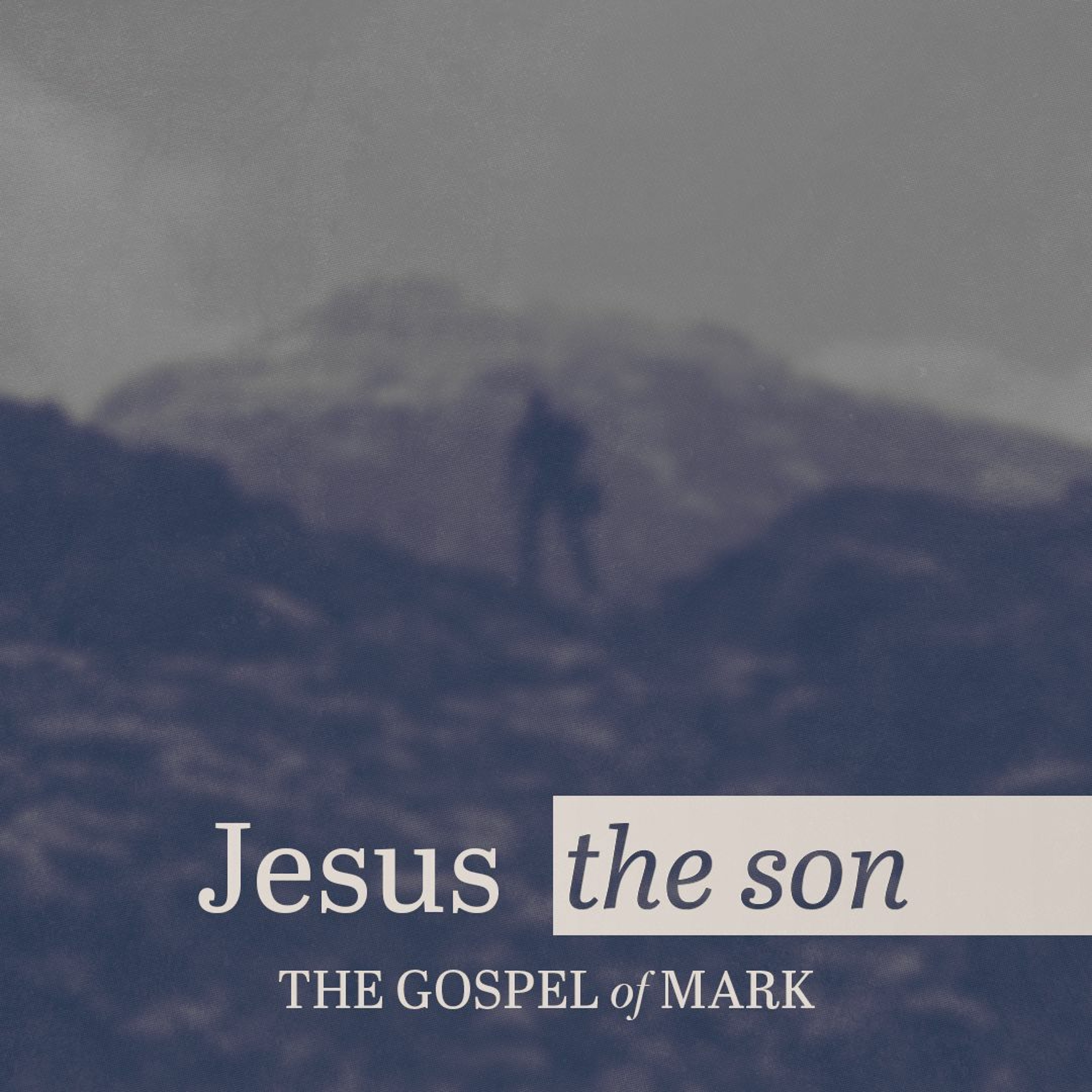 How To Suffer Like Jesus episode artwork