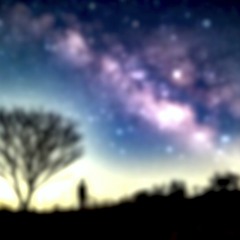 turn around to sleep (demo)