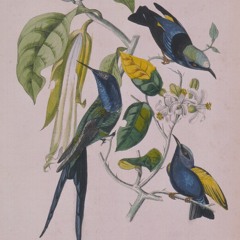 Susumu Yokota - Uchu Tanjyo (Dream Unit Edit)