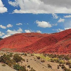 Si se acordara- Vidala de Catamarca