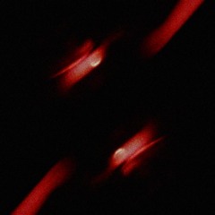 solodon - thot freestyle