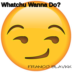 Whatchu Wanna Do? (Different Hos Remix)