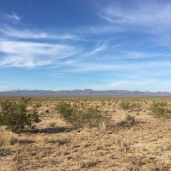 Flatlands