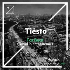 Tiësto - Fat Beat (David Puentez Remix)[Musical Freedom]