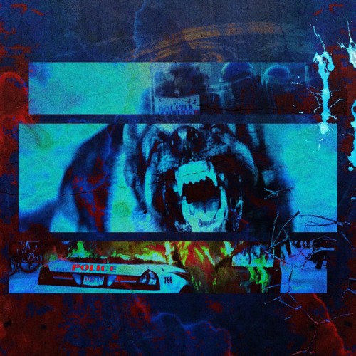 SCXRMO RXP
