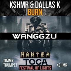 TOCA MANTRA BURN OF LIGHT ( WanggZu Edit) - Timmy Trumpet & KSHMR *FREE DOWNLOAD* click BUY