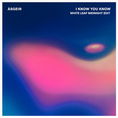 Ásgeir "I Know You Know" [White Leaf Midnight Edit]