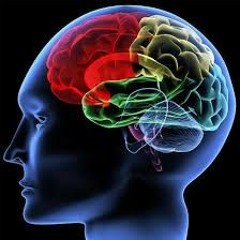 Play Me Like No Dummy Ft- Frioo,TVBO,AK,Fox