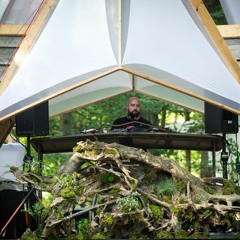 Jeff LeClair @ Fractalfest 2017 - Woods Stage