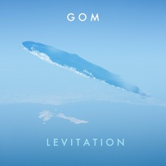 6.  Allignment http://gommusic2.bandcamp.com/album/l-e-v-i-t-a-t-i-o-n