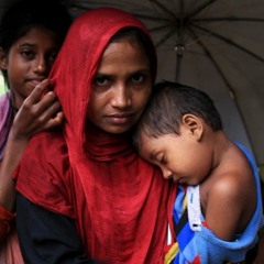 the Rohingya