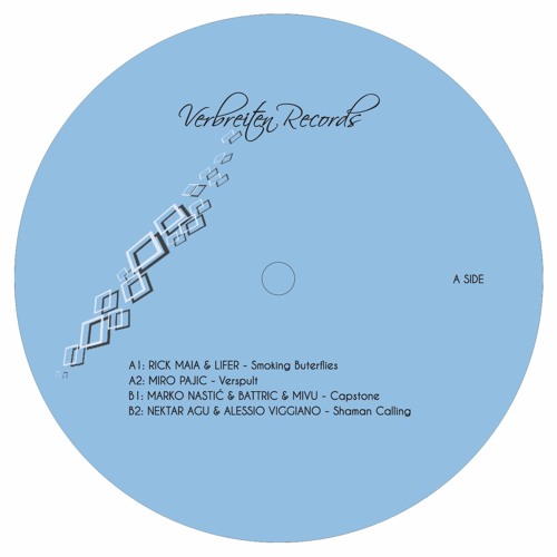B2 - Nektar Agu & Alessio Viggiano - Shaman Calling (Original Mix)
