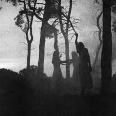 ''monkey's paw'' (clip)