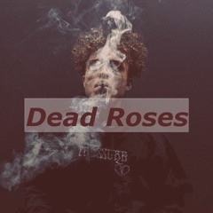 Lil Skies Type Beat | "Dead Roses" | Prod by Zeke