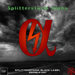 DZKYIN - Heaven [SSRBLK-001] Splitterstorm Alpha // Track 06