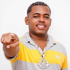 MC Diguinho - Cheguei Na Favela (DJ Selminho)ft. MC Novinho Da Praça e MC Brinquedo