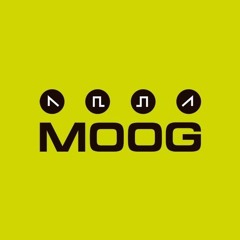 Ruben Seoane @ My Definition Of Moog Music Vol.3