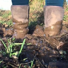 Pulling On The Ugg Boots [remixed on the album Born Under a Sign - free on Bandcamp]