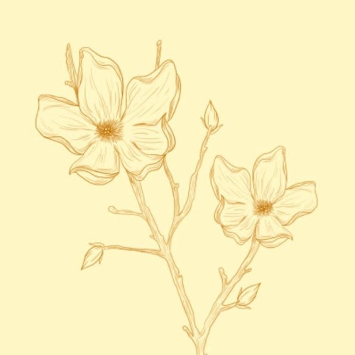 hazy (demo)