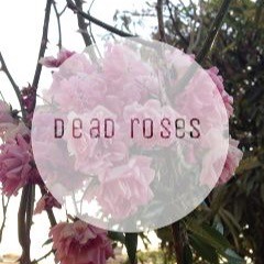 dead roses