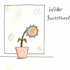 Wilder - Softly