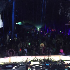Claire Closing the Mushroom Stage @ Future Forest July 30, 2017