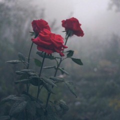 Broken Yet Holding On - Roni Tran