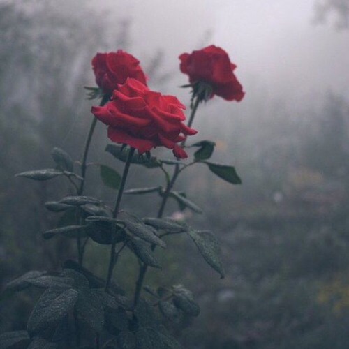 7000 Miles Away - Ameerah