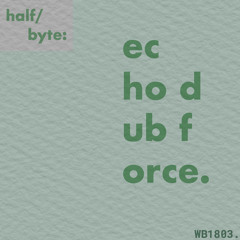 WB1803 - Echo Dub Force