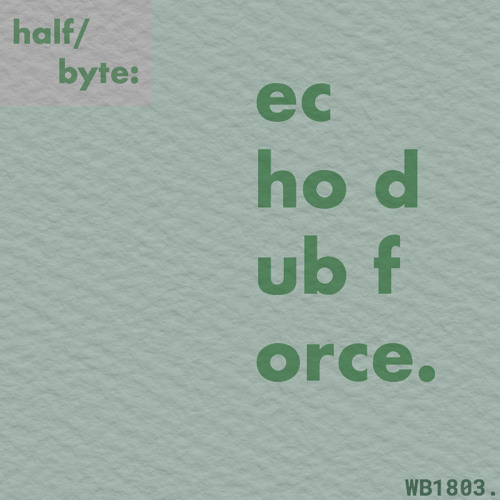 WB1803 - Echo Dub Force