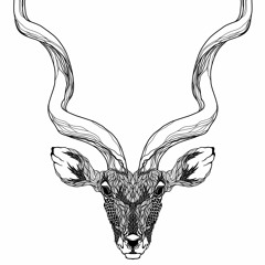 PREMIERE : The Antelope - Five Point Dreams [Atlant Recordings]