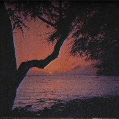 Repose (prod. by c medina x Tape$)