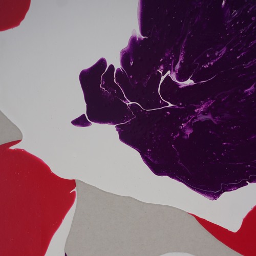PREMIERE: Tom Flynn - The Blessed Rabbit Hole [Into Orbit]