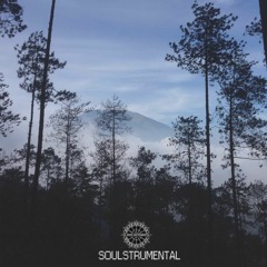 Soulstrumental Quickview (Soulstrumental Available at Bandcamp & Youtube)